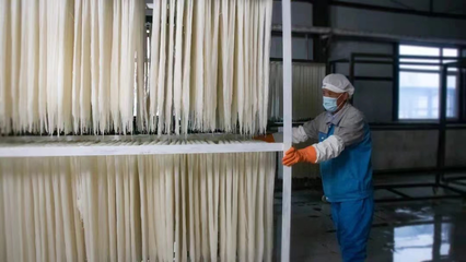 稅務賦能，非遺“活”起來 延邊稅務助力非物質文化遺產傳承與發展